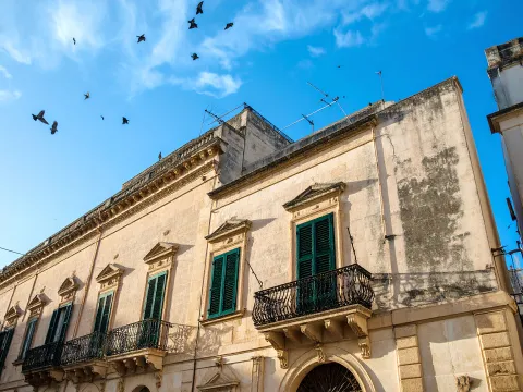 Allontanamento Volatili a Lecce